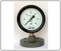 YTPStrong anti-corrosion plastic membrane Pressure gauge